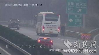 国产车违停视频播放网站,网络直播违停现象解析