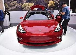 国产车撞特斯拉视频真实